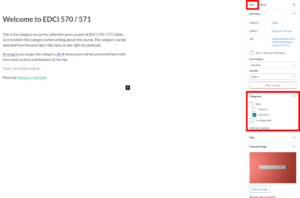 A screenshot showing the WordPress category interface.